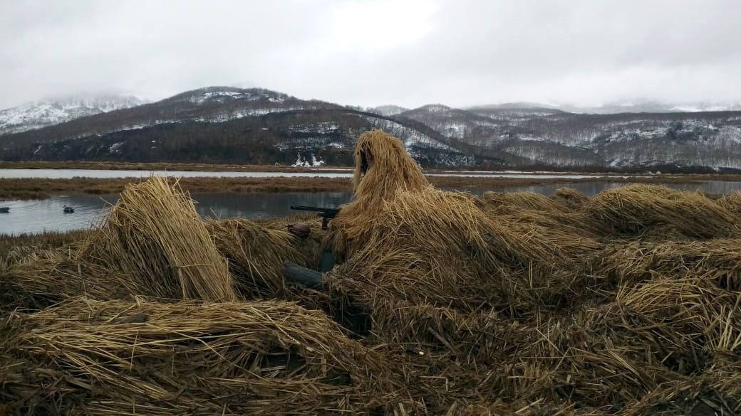 В ожидании...